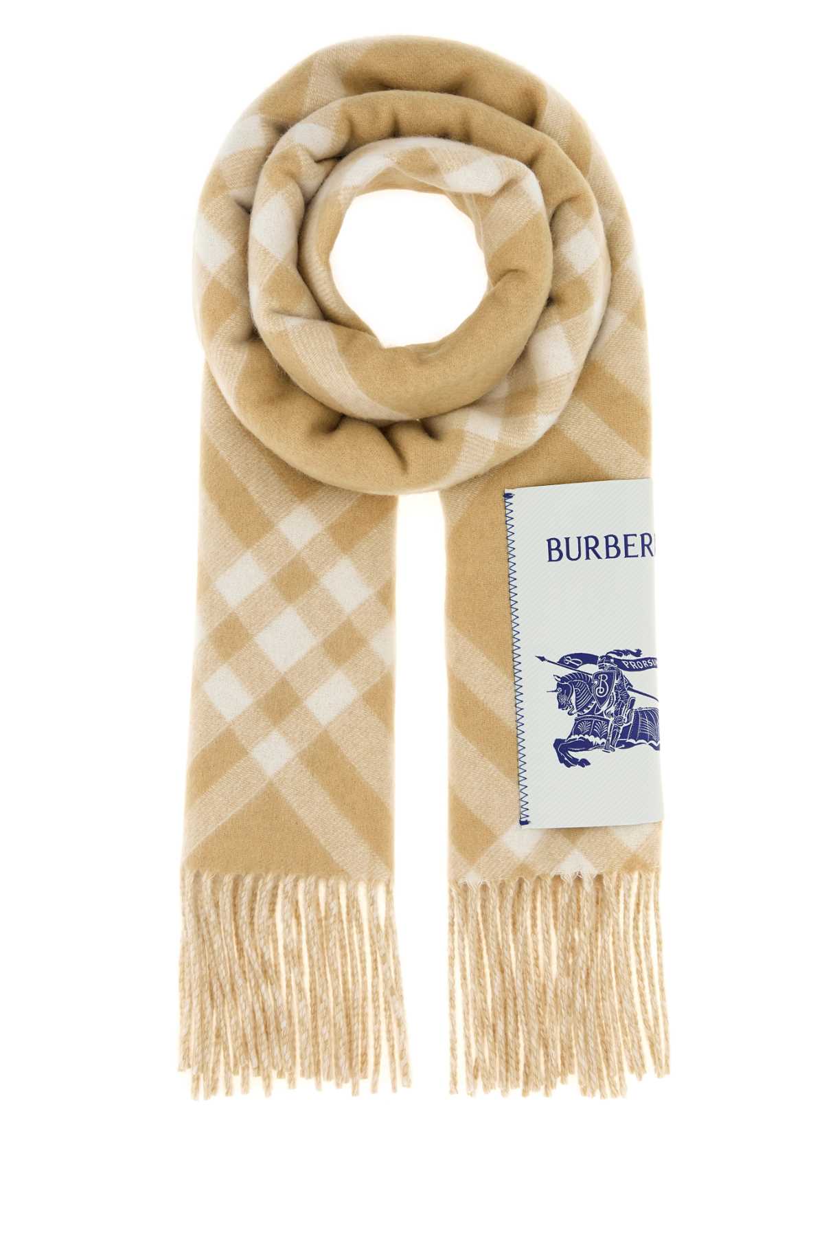 Burberry Unisex Embroidered Cashmere Scarf