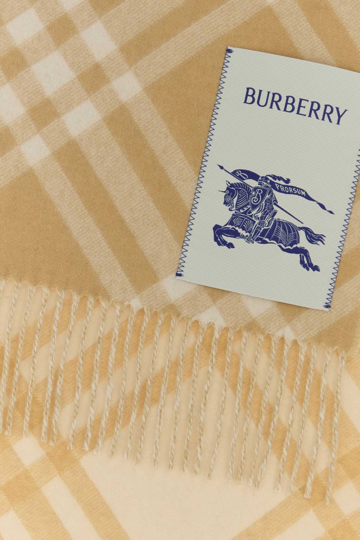 Burberry Unisex Embroidered Cashmere Scarf