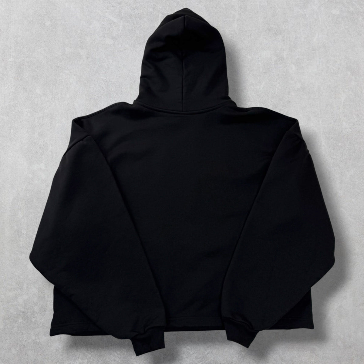 Balenciaga Paris Strass Cropped Hoodie  Women